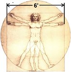 Vitruvian Man.jpg