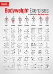 bodyweight-exercises-chart.jpg