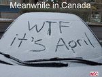 Meanwhile in canada.jpg