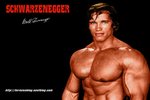 arnold-schwarzenegger-16.jpg