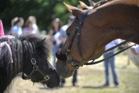 Equitana Open Air 1. - 3.6.2012