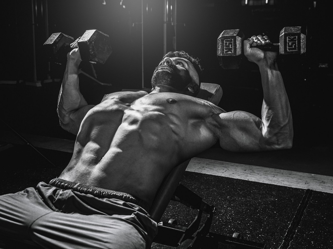 The parallel  bar dip for superior chest development