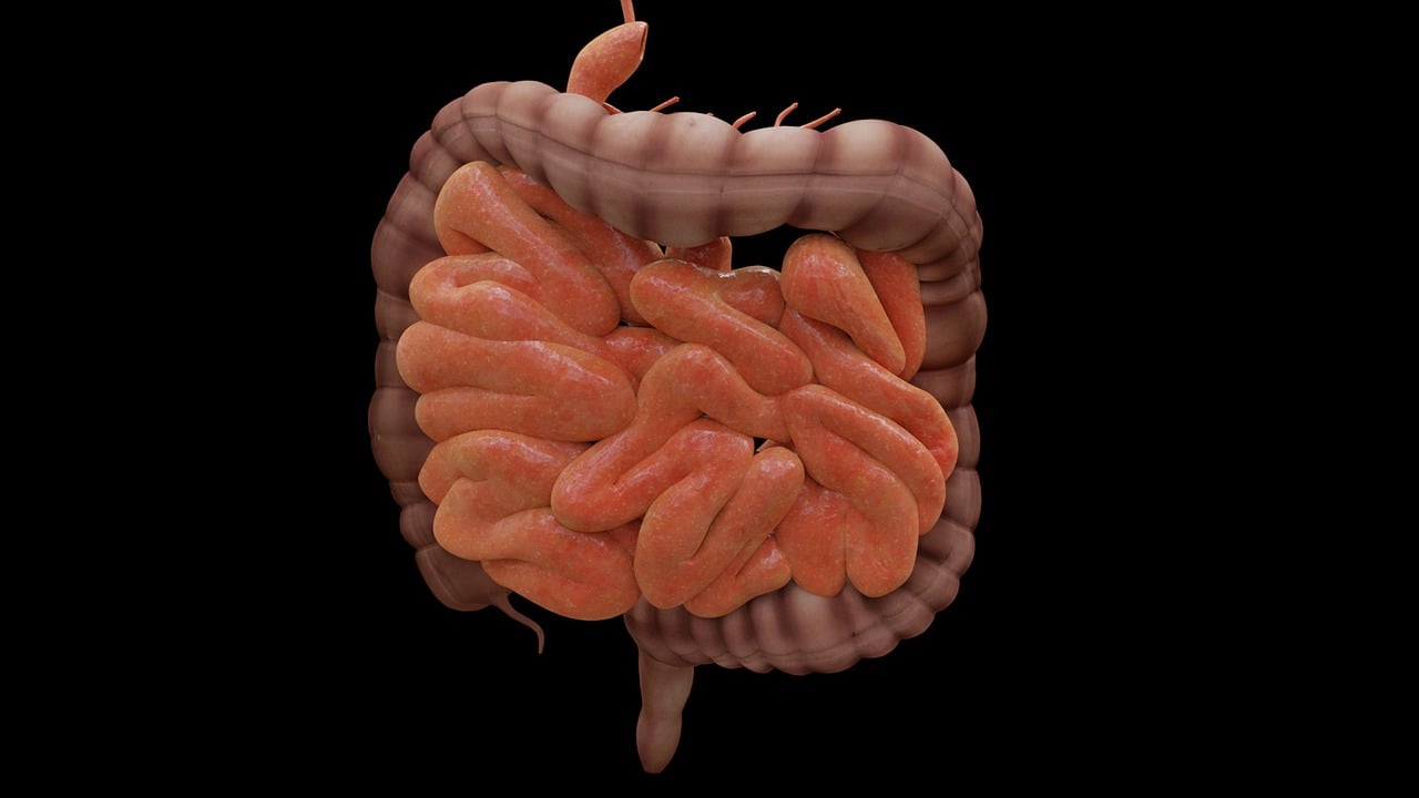 Colon Health and Its Impact on Overall Health