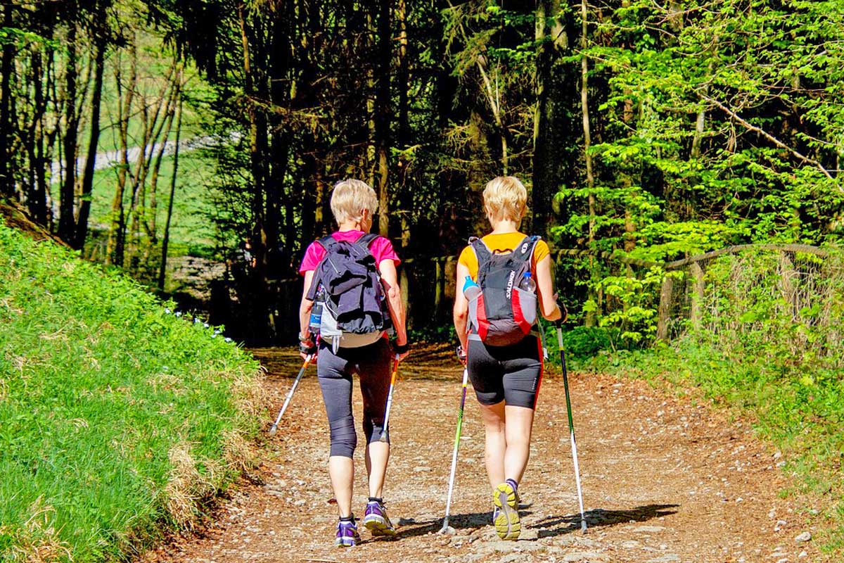 Nordic Walking – das richtige Equipment